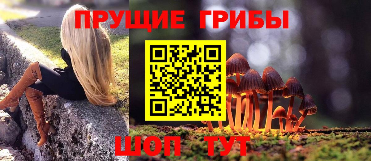 Псилоцибиновые грибы ЛСД  Вход с VPN  Кунгур  Псилоцибиновые грибы MAGIC MUSHROOMS 